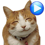 WAsticker Cats icon