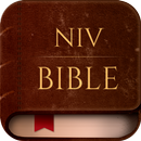 NIV Bible version, Offline app APK