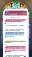 NKJV - New King James Version Affiche