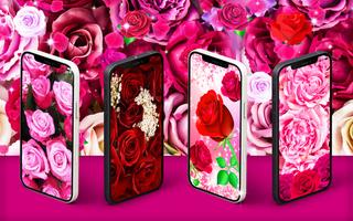 Poster Pink red roses live wallpaper
