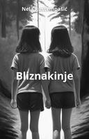 Bliznakinje poster
