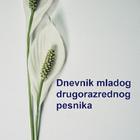 Dnevnik ikona