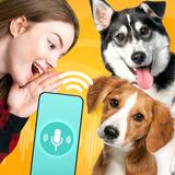 Dog Translator: Dog Talk Prank