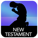 APK The Testament of The Bible
