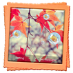 Autumn Live Wallpaper