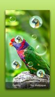 برنامه‌نما Bird Live Wallpaper عکس از صفحه