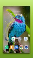 Bird Live Wallpaper постер