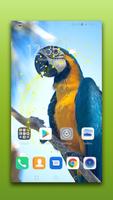 برنامه‌نما Bird Live Wallpaper عکس از صفحه