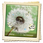 Dandelion Live Wallpaper icon