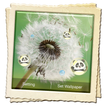 Dandelion Live Wallpaper