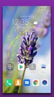 Lavender Live Wallpaper Affiche