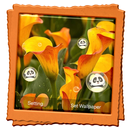 Lily Live Wallpaper APK