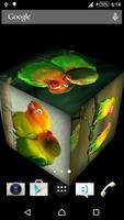 Love Bird Live Wallpaper پوسٹر