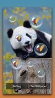 Panda Live Wallpaper capture d'écran 3