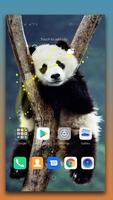 Panda Live Wallpaper Affiche