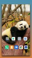 Panda Live Wallpaper capture d'écran 2