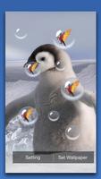 Penguin Live Wallpaper capture d'écran 3