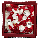 Petals Live Wallpaper APK