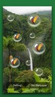 Rain Forest Live Wallpaper capture d'écran 3