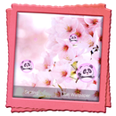 Sakura Live Wallpaper APK