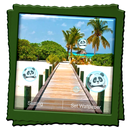 Summer Live Wallpaper APK