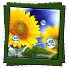 Sunflower Live Wallpaper ikona