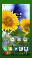 Sunflower Live Wallpaper plakat