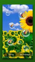 Sunflower Live Wallpaper capture d'écran 1
