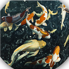 Koi Wallpaper Free icon