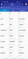 Hindi Mongolian Dictionary poster