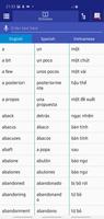 Spanish Vietnamese Dictionary Poster