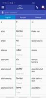 Punjabi Basque Dictionary Poster