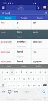 Punjabi Danish Dictionary 截图 1