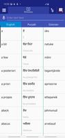 Punjabi Estonian Dictionary 海報