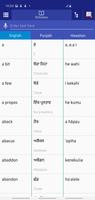 Punjabi Hawaiian Dictionary Poster