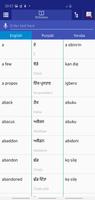 Punjabi Yoruba Dictionary Poster
