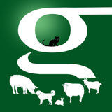 Gestimator icono