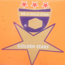 The Golden Stars International School APK