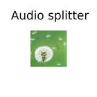 Audio splitter icon