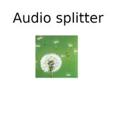 Audio splitter