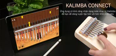 Virtual Kalimba 2020