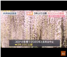 Japanese News TV Live capture d'écran 3