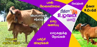 Uzhavan Maadu - உழவன் மாடு
