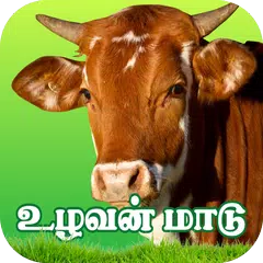 Uzhavan Maadu - உழவன் மாடு