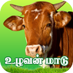 Uzhavan Maadu - உழவன் மாடு
