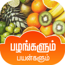 Pazhangalum Payangalum APK