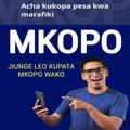 NIWEZESHE MICROFINANCE CREDIT