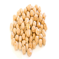 Chickpea-IFC
