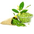 Pigeonpea-IFC
