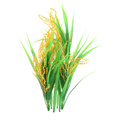Rice-IFC